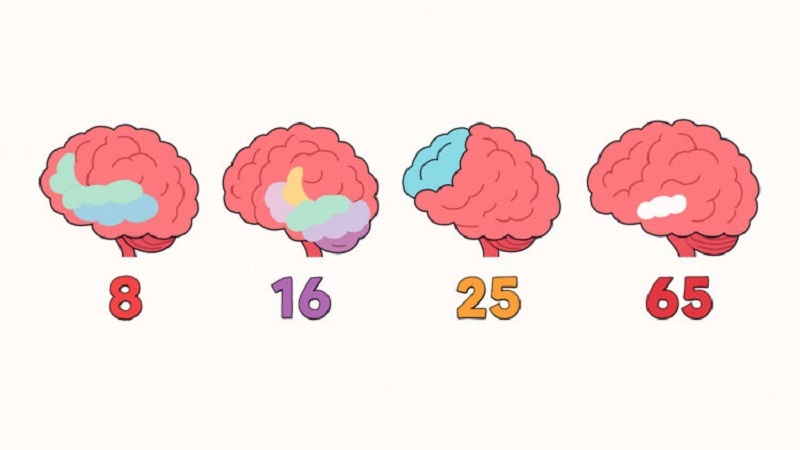 Em di çi temenekî da jîrtir in?