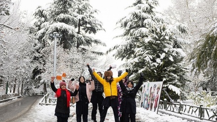 Berfê Tehran sipî kir