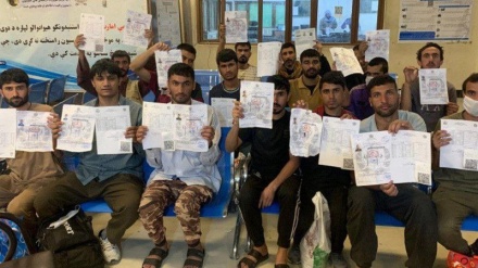 آزادی بیش از ۳۴۰ مهاجر افغان از زندان‌های پاکستان و بازگشت آنان به کشور