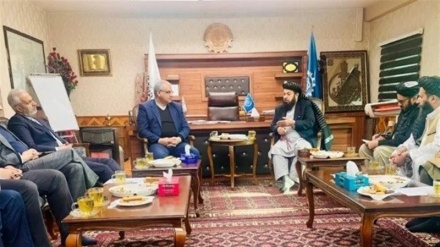 معاون وزارت کار ایران: ظرفیت صدور ۲۰۰ هزار ویزای کاری برای شهروندان افغان در سال