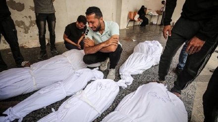 زۆربوونی ژماری شەهیدانی کەرتی غەززە