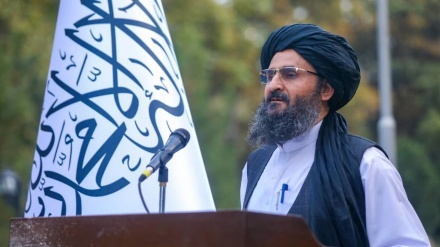 ادعای برادر مبنی بر از بین رفتن مخالفان حکومت سرپرست