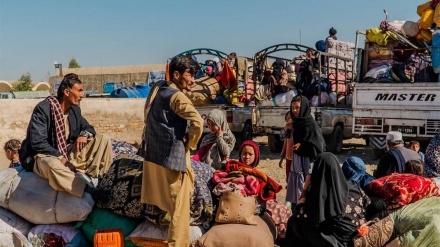 بازگشت بیش از ۳ هزار مهاجر افغان در روز گذشته