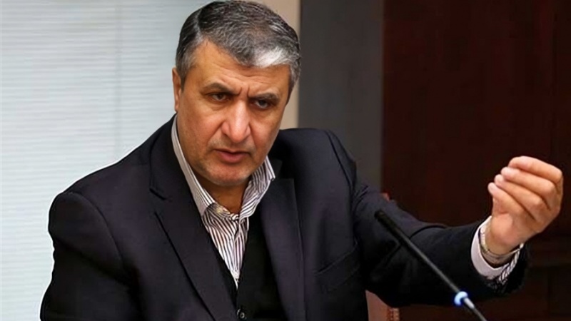 آئی اے ای اے کو بارہ روزہ جنگ کے دوران ایران کی ایٹمی تنصیبات کے خلاف جارحیت پر اپنا موقف واضح کرنا ہوگا: محمد اسلامی