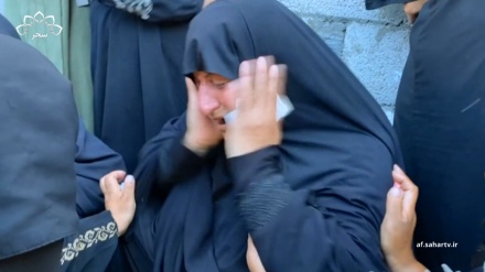 شهادت هفت فلسطینی همزمان با آغاز مرحله جدید آتش بس غزه 