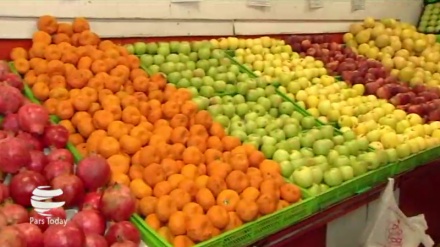 حالیہ ہفتوں میں ایران کے صوبے مازندران سے موسمی پھلوں کی چھ سو سے زائد کھیپیں مختلف ممالک کو برآمد کی گئی ہیں-