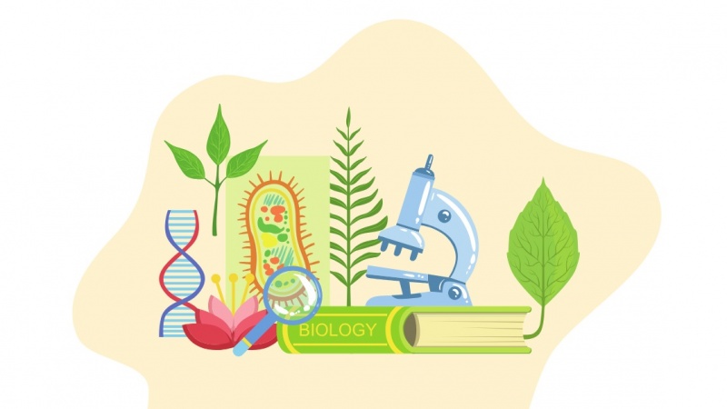 بەشی زیندەزانی