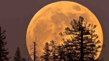 مانگی تابان