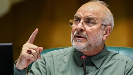 Xalq şüurlu iştirakı ilə əcnəbilərin müdaxiləsinin qarşısını aldı