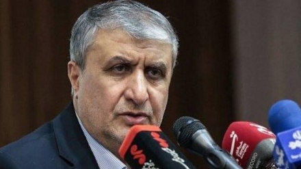 جدید طریقۂ علاج میں ایران کا ایٹمی توانائی کا ادارہ پیش پیش:  ایٹمی توانائی ادارے کے سربراہ محمد اسلامی