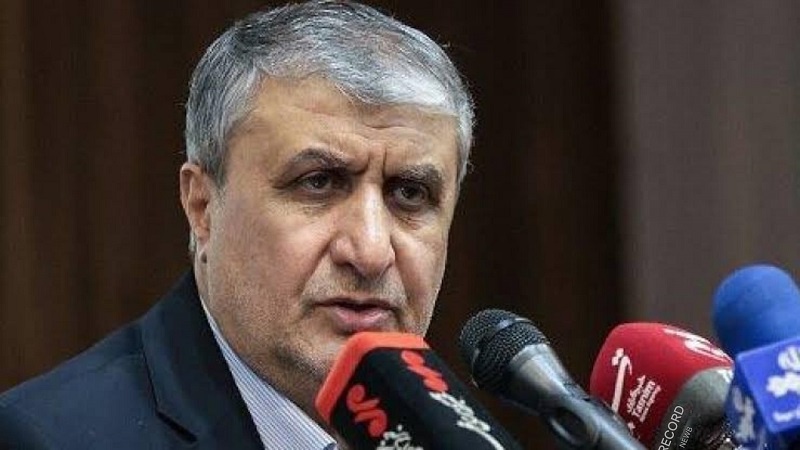 جدید طریقۂ علاج میں ایران کا ایٹمی توانائی کا ادارہ پیش پیش:  ایٹمی توانائی ادارے کے سربراہ محمد اسلامی