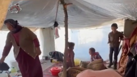 Birçîbûnê xelk û awareyên Kobaniyê bêzar kirine