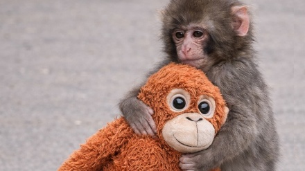 دنیا کی تصویری جھلکیاں