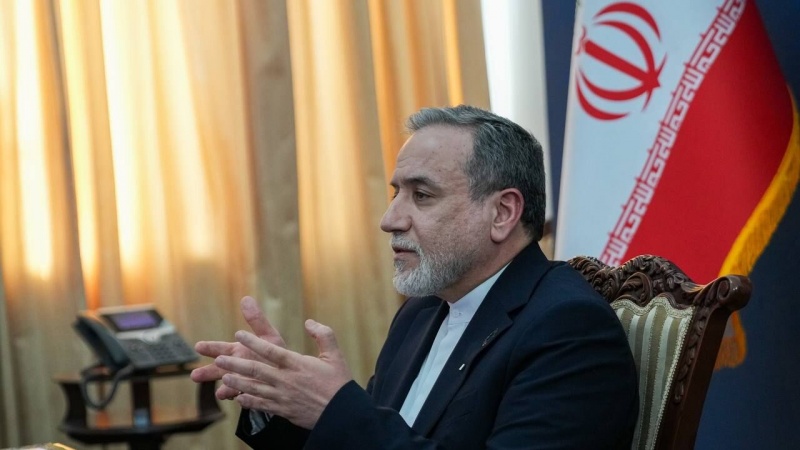 افزودگی معطلی کی کوئی تجویز نہیں دی گئی ہے : سید عباس عراچی