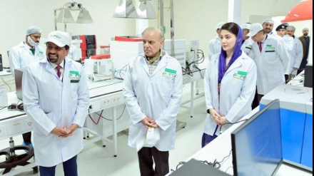 پاکستان میں پہلی بار پنجاب میں ایگریکلچر، فوڈ اینڈ ڈرگ اتھارٹی قائم