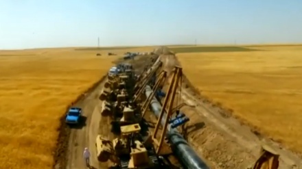 وەگەر خستنی چەن گەڵاڵە لە پارێزگای کوردستان بە بۆنەی بەرزڕاگرتنی دەیەی فەجر