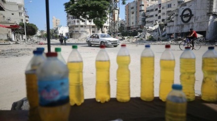 Xezze u berdewambûna qeyrana ardûyê û dorpêça dijemirovî