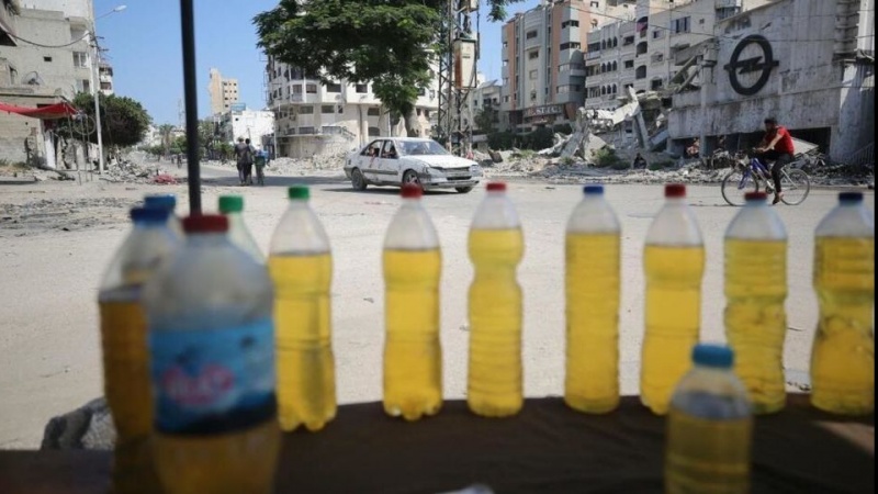 Xezze u berdewambûna qeyrana ardûyê û dorpêça dijemirovî