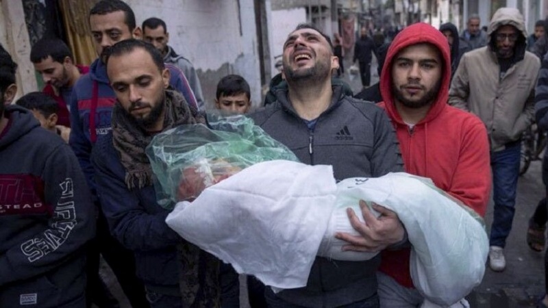 غزہ میں صیہونی حکومت کی جانب سے جنگ بندی کی خلاف ورزی کا سلسلہ جاری ، متعدد فلسطینی شہید اور زخمی