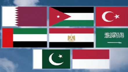 آٹھ عرب و اسلامی ممالک کا مشترکہ بیان، غزہ میں جنگ بندی کی خلاف ورزیوں پر صیہونی حکومت کی سخت مذمت