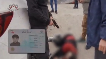 Serkirdê terorîstên navça Têhranparsê hat kuştin