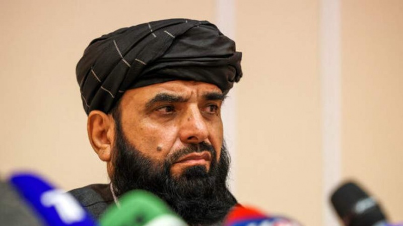 سهیل شاهین: افزایش کمک‌های هند نشانه تقویت روابط کابل و دهلی است 