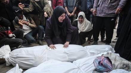 Şehîdbûna 642 filistîniyan ji dema pêkanîna agirbesa li Zîvala Xezzeyê