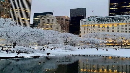 امریکی شہر نیویارک میں سخت سردی کے باعث درجنوں شہری ہلاک