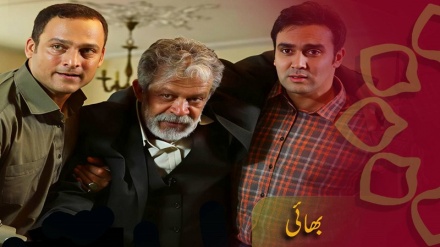 ڈرامہ سیریل - بهائی، قسط نمبر 2