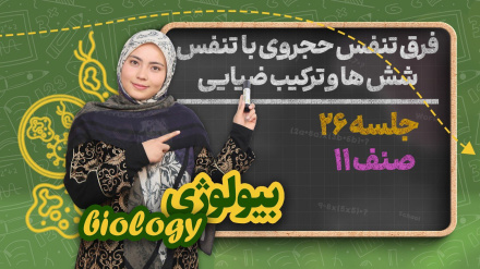 بیولوژی صنف یازدهم_جلسه۲۶_فرق تنفس حجروی با تنفس شش ها و ترکیب ضیایی