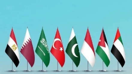 صیہونی حکومت کے غیرقانونی اقدامات کی مذمت