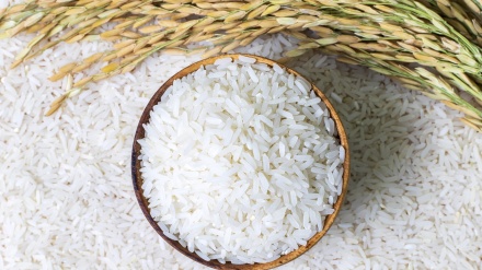  زانیاری دەربارەی برنج