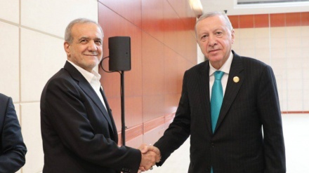 Pezeškian zahvalio predsjedniku Turske na stavovima osude cionističkog režima