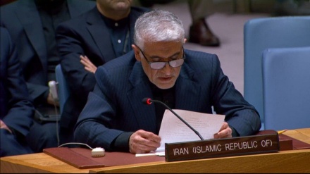 سفیر ایران: ایران کے خلاف سلامتی کونسل کے اقدام کو تسلیم نہیں کرتے