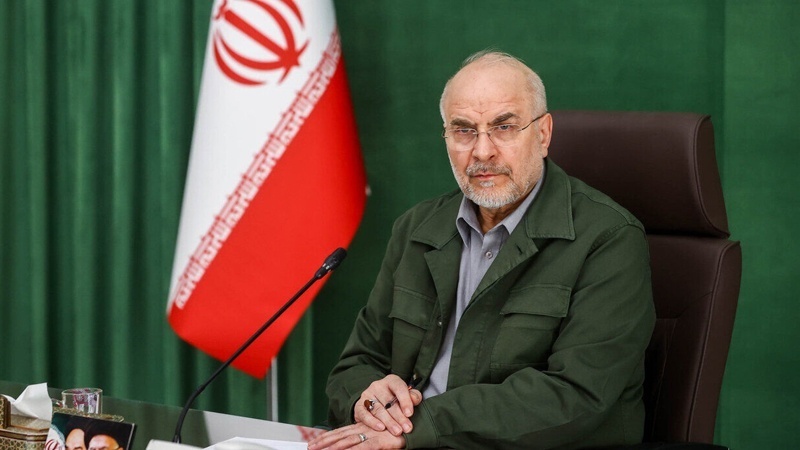 اسپیکر: امریکی حکومت اسرائیل فرسٹ کی پالیسی پر عمل کررہی ہے