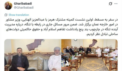 آبنائے ہرمز کی مشترکہ کمیٹی کی پہلی میٹنگ ہوئی : کاظم غریب  آبادی