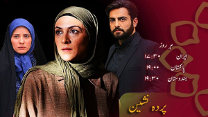 ڈرامہ سیریل پردہ نشین
