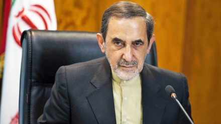 خلیج فارس کے ساحلی عرب ملکوں میں پایا جانے والا استحکام آبنائے ہرمز پر جاری طویل ایرانی کنٹرول کا نتیجہ ہے: ڈاکٹر علی اکبر ولایتی