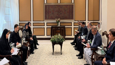 ایران اور پاکستان نے مختلف شعبوں میں زیادہ سے زیادہ فروغ پر زور دیا ہے۔