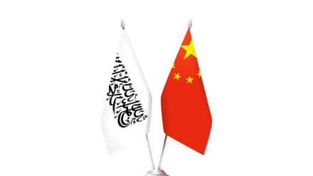 د افغانستان او چین سوداګریزې سلامشورې