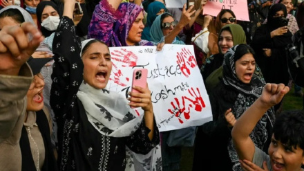 پاکستان کے زیر انتظام کشمیر میں مظاہرے ، فسادات میں درجنوں کے ہلاک ہونے کی اطلاعات ، بلاول بھٹو نے دھاندلی کا الزام عائد کیا