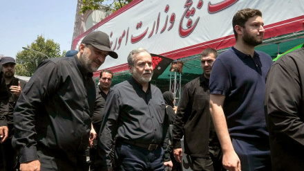 عراقچی: ایرانی عوام اور مسلح افواج کسی بھی دھمکی سے ڈرنے والے نہیں ہیں