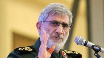 Serdar Qaanî: Vîna rawestana li ber Amerîkayê zêdetir dibe