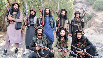 د تحریک طالبان پاکستان ډلې د بریدونو شمېر