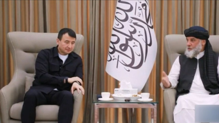 امضای ۲۲تفاهمنامه تجاری میان حکومت سرپرست و ازبیکستان