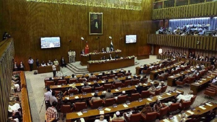 پاکستان: اسمگلنگ سے پیٹرول کے بعد سب سے زیادہ منافع چھالیہ کے کاروبار میں، سینیٹ کمیٹی کے اجلاس میں انکشاف