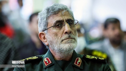 سەردار قائانی: ویستی بەرەنگاربوونەوەی ئەمریکا بەرزتر دەبێتەوە