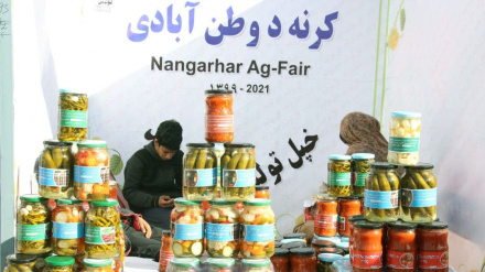 ننګرهار کې د کرنیزو محصولاتو نندارتون 