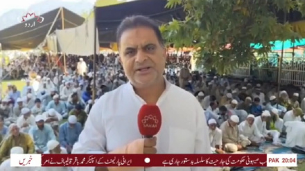  ہفتۂ وحدت اور میلاد النبی (ص) کی تقریبات، عقیدت و محبت کے مناظر اور اتحادِ امت کا خوبصورت پیغام، رپورٹ