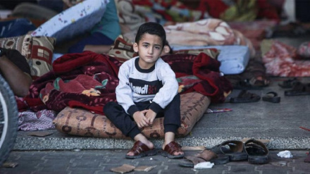 غزہ میں 94 فیصد آبادی کے پاس رہنے کے لئے چھت نہیں ہے: اقوام متحدہ